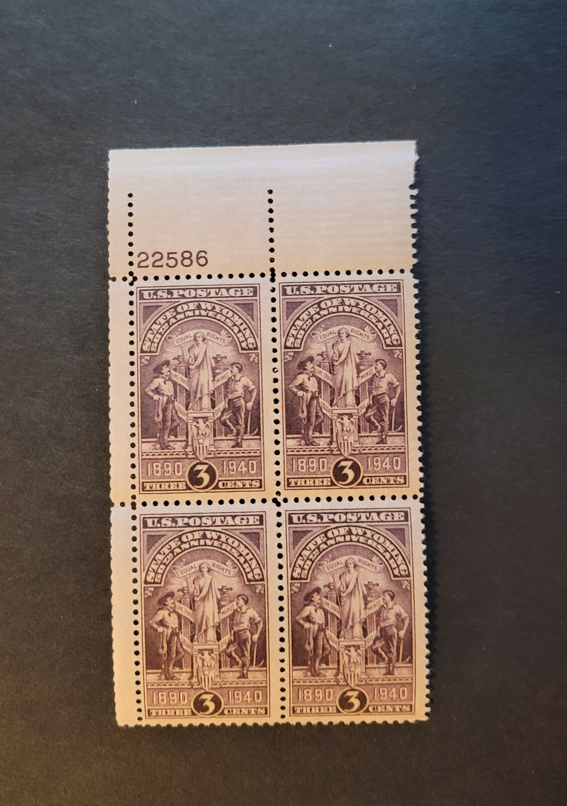Scott #897 State of Wyoming (Equal Rights) Plate Block of 4 Stamps - MNH