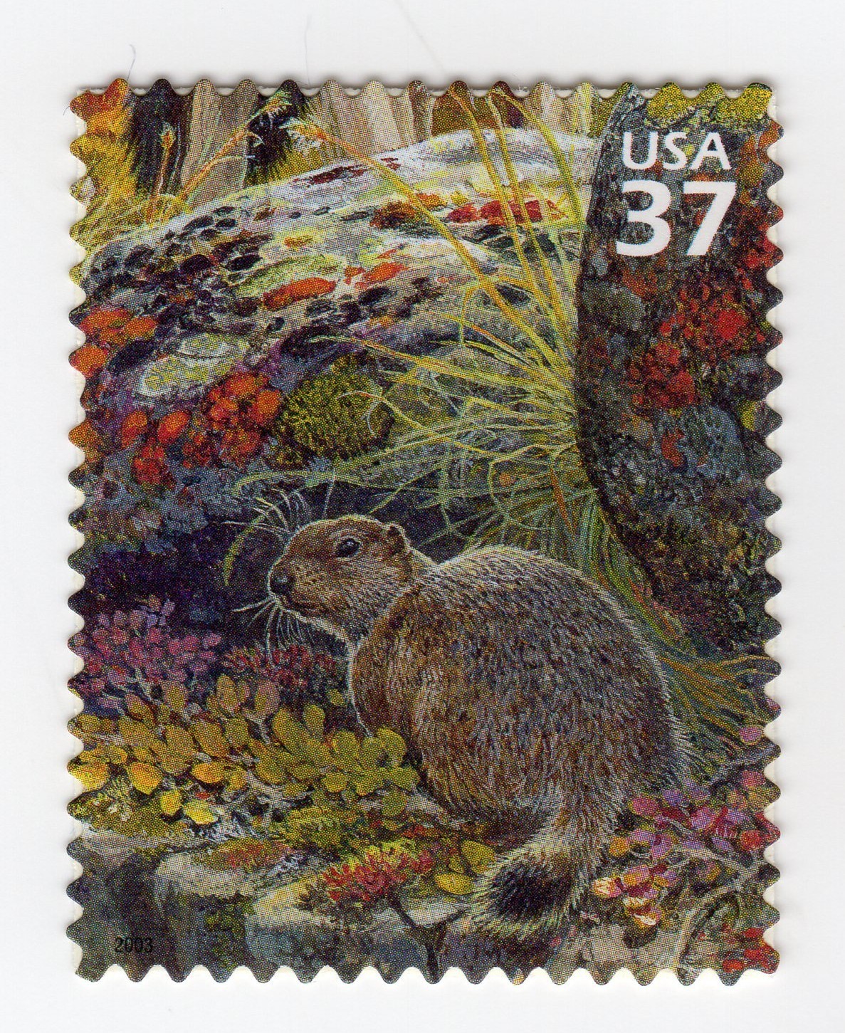 Scott #3802g Arctic Tundra (Nature Series) Ground Squirrel Single Stamp - MNH