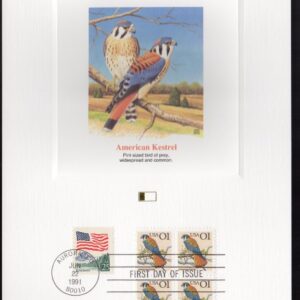 Scott #2280 2476 Flag over Yosemite & Kestrel Fleetwood Postal Card 06/22/91 FDC