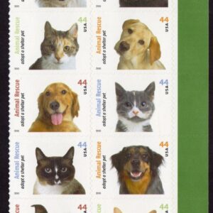 Scott #4460 Adopt a Shelter Pet (Rescue) Plate Block of 10 Stamps - MNH Right