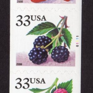 Scott #3407a (3404) Berries Fruit Plate # Coil (PNC5) of 5 Stamps - MNH #3