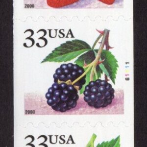 Scott #3407a (3404) Berries Fruit Plate # Coil (PNC5) of 5 Stamps - MNH #4