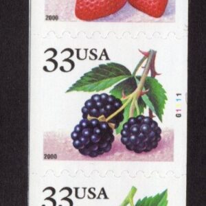 Scott #3407a (3404) Berries Fruit Plate # Coil (PNC5) of 5 Stamps - MNH #5