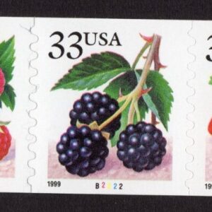 Scott #3305a (3302) Berries Fruit Plate # Coil (PNC5) of 5 Stamps - MNH P#B2222