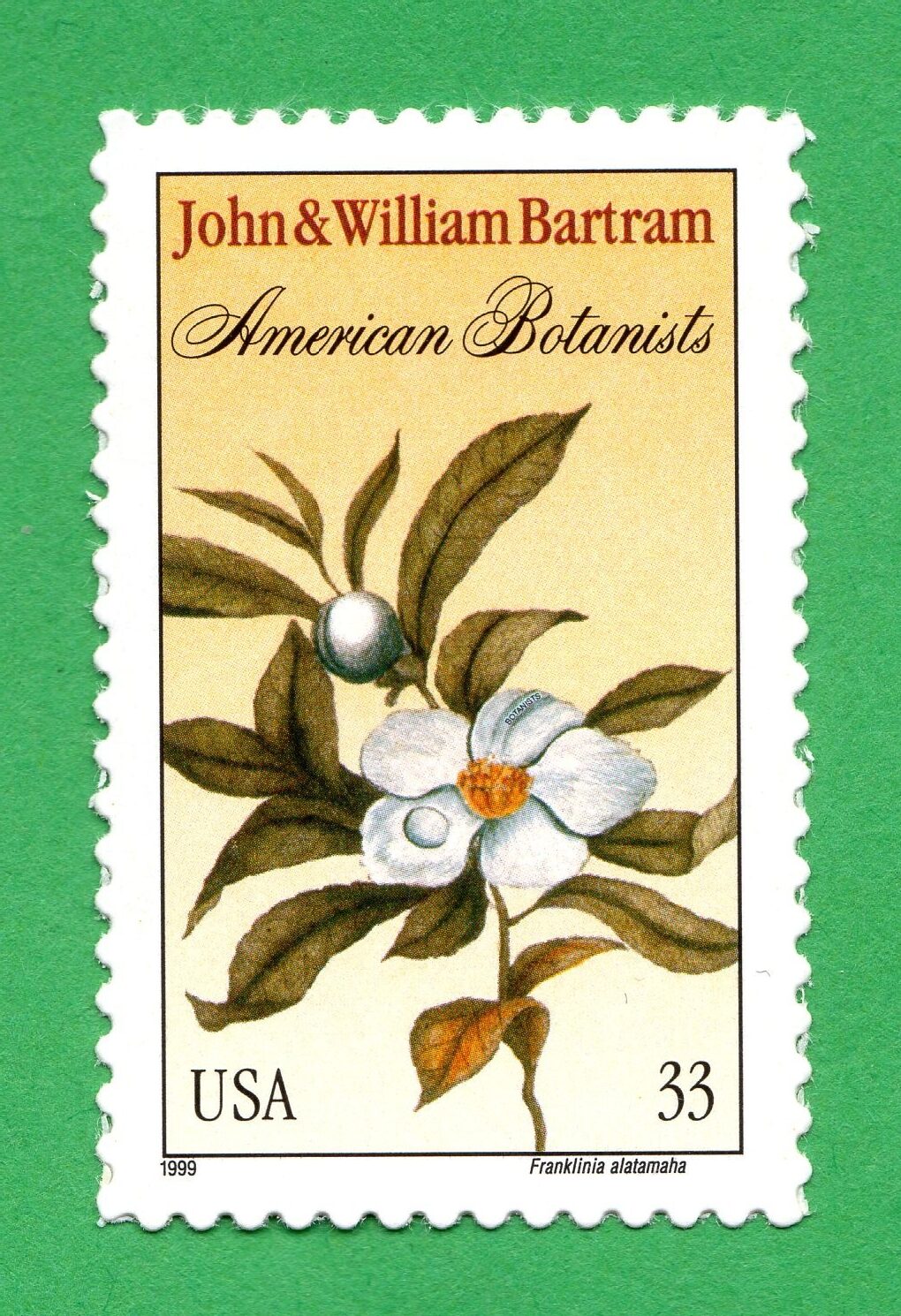 Scott #3314 John & William Bartram Botanists Single Stamp - MNH #1 XF