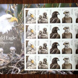 Scott #6082-6086 Bald Eagle Sheet of 20 Forever Stamps - MNH