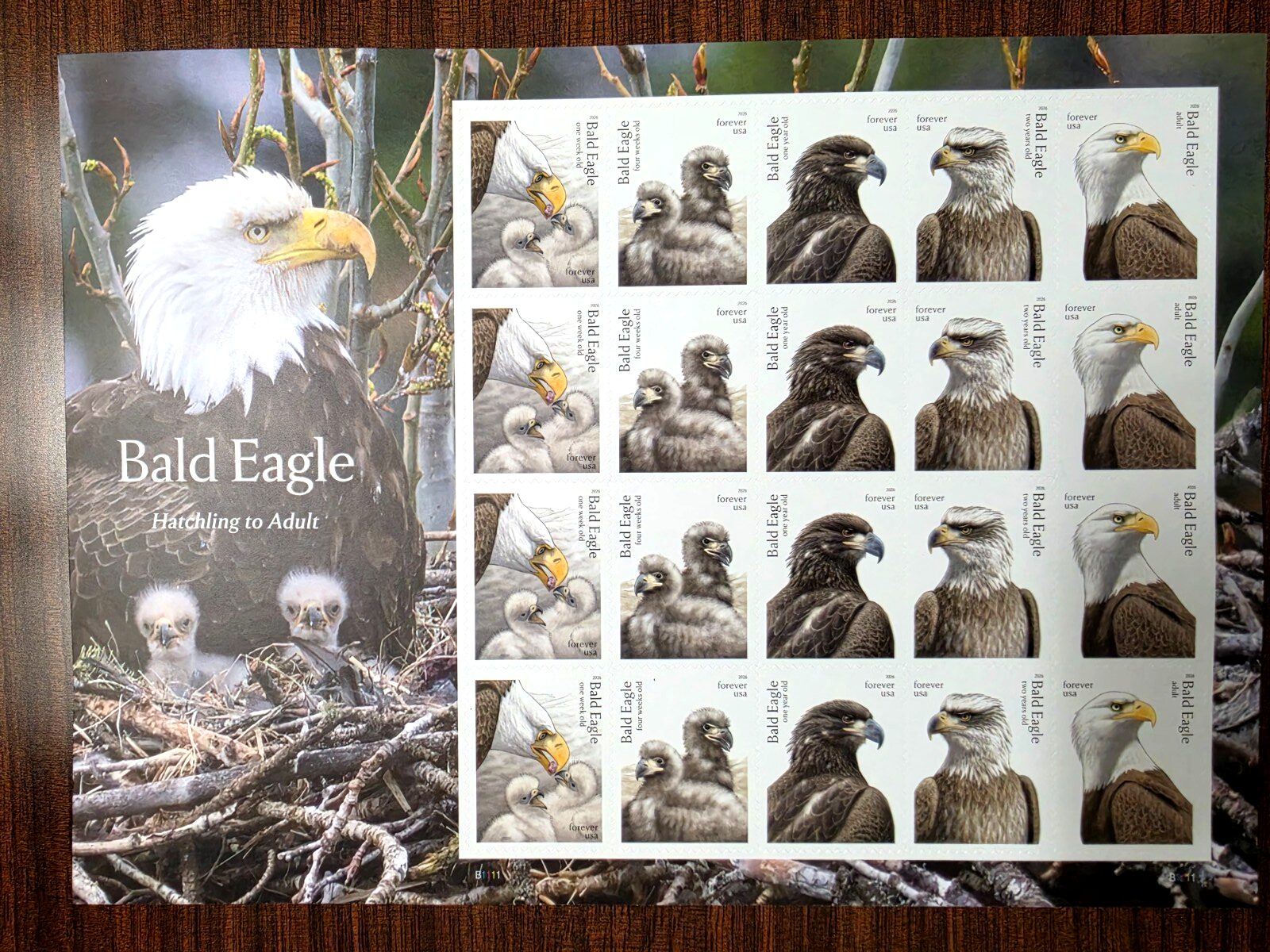 Scott #6082-6086 Bald Eagle Sheet of 20 Forever Stamps - MNH