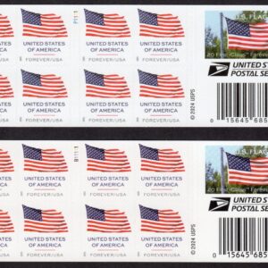 Scott #6020 6021 Flag Booklet of 20 Forever Stamps - MNH (APU & BCA)