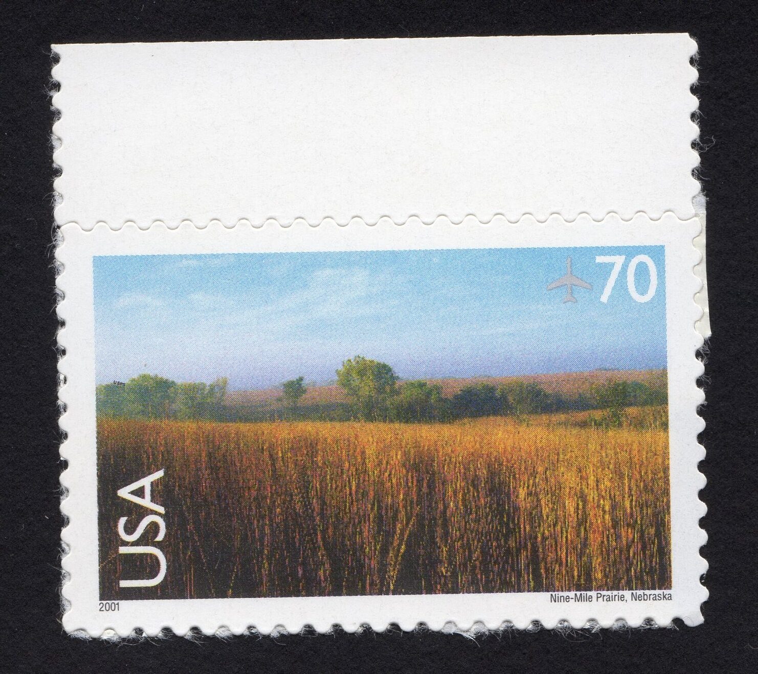 Scott #c136 Nine-Mile Prairie Single Airmail Stamp - MNH XF #2