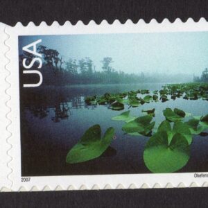 Scott #c142 Okefenokee Swamp Single Airmail Stamp - MNH w/Copyright Selvage