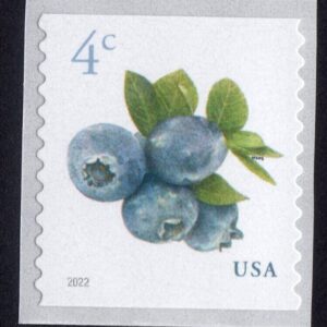 Scott #5653 Blueberries Single Coil Stamp - MNH