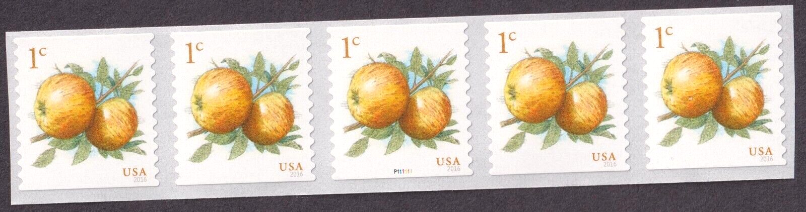 Scott #5037 Apples Plate # Coil (PNC5) of 5 Stamps - MNH