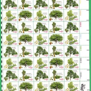 Scott #1767a (1767-70) 1978 Arboretum (Trees) 15¢ Sheet of 40 Stamps - MNH UR #2