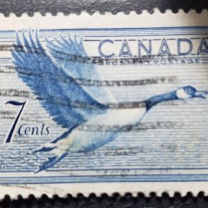 Stamp Canada 1952 Canada Goose A136 #320