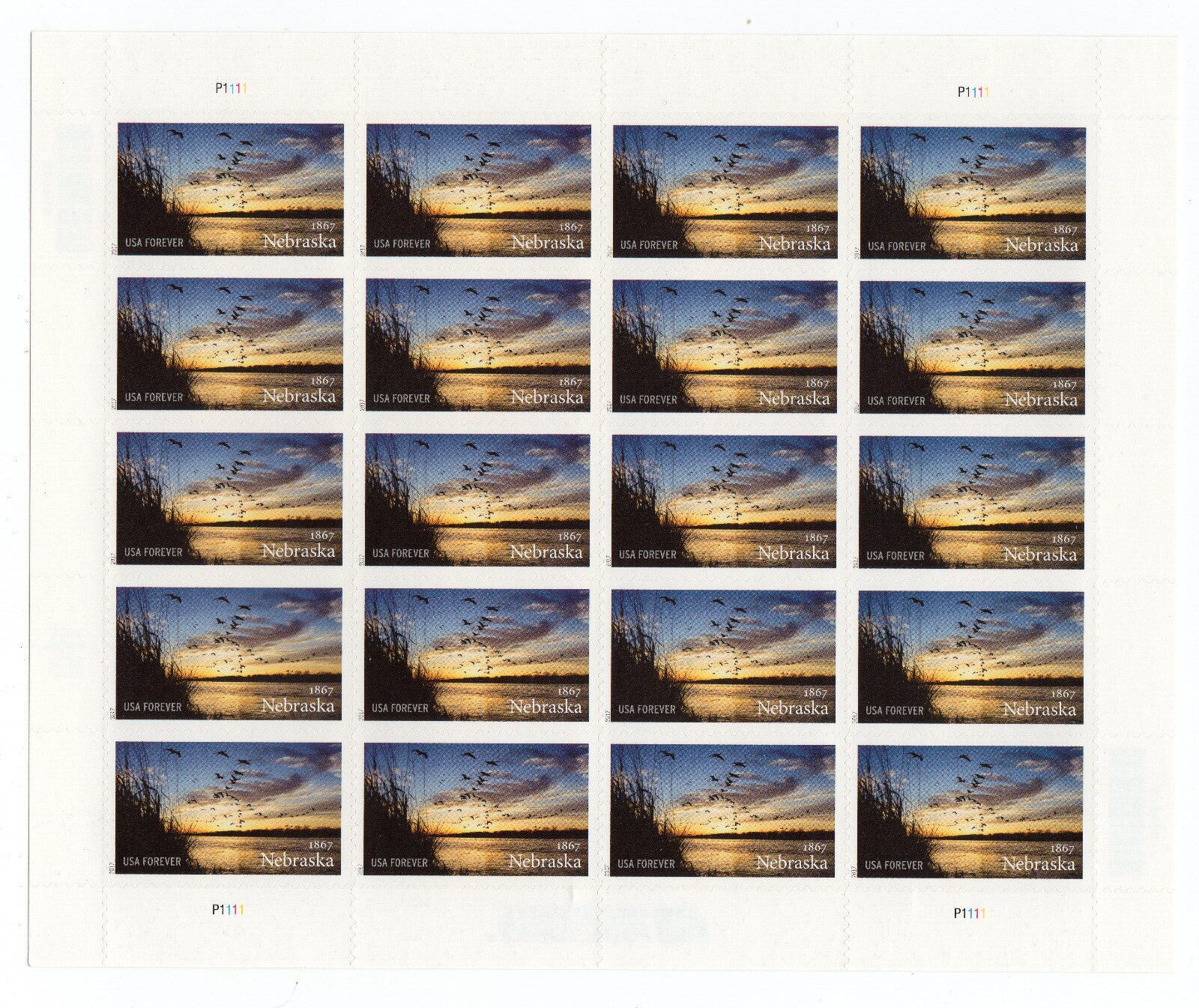 Scott #5179 Nebraska Full Sheet of 20 Forever Stamps - MNH