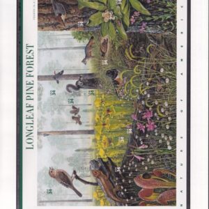 Scott #CP649 (3611) Longleaf Pine Forest Commemorative Panel Stamp Sheet