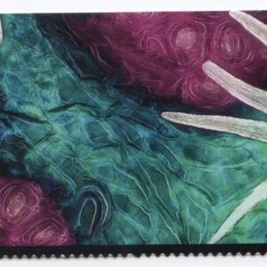 Scott #5802 Life Magnified Title Block - No Stamps