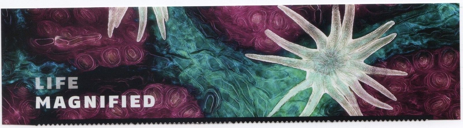 Scott #5802 Life Magnified Title Block - No Stamps