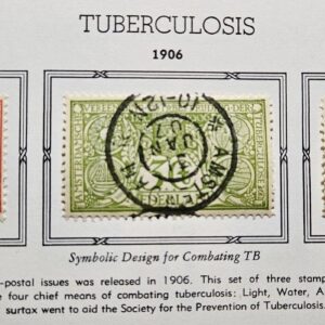 Stamp Europe Netherlands 1906 Tuberculosis Semi-Postal B1-3 used