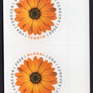 Scott #5680 Global Forever African Daisy Plate # Pair of Stamp - MNH UV Verified