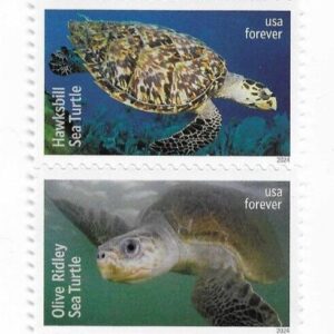 Scott #5870a (5865-70) Sea Turtles Strip of 6 Forever Stamps - MNH