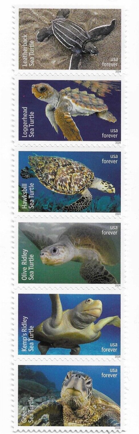 Scott #5870a (5865-70) Sea Turtles Strip of 6 Forever Stamps - MNH