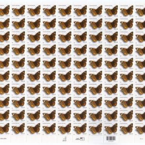 Scott #4000 Common Buckeye Butterfly Sheet of 100 Stamps - MNH P#P111