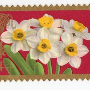 Scott #4435 Lunar New Year (Tiger) Single Stamp - MNH
