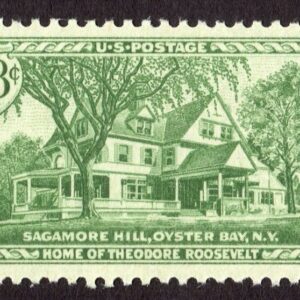 Scott #1023 Sagamore Hill Theodore Roosevelt Single Stamp - MNH