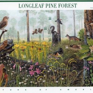 Scott #3611 LongLeaf Pine Forest (Nature Series) Sheet of 10 Stamps - MNH