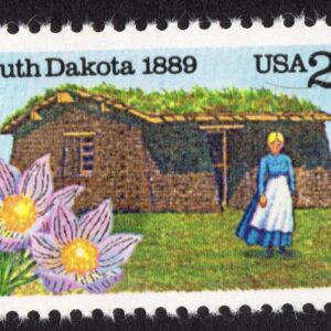 Scott #2416 South Dakota Single Stamp - MNH