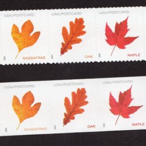 Scott #5970a-5975a Vibrant Leaves Postcard Strip of 5 Sheet & Coil Stamps