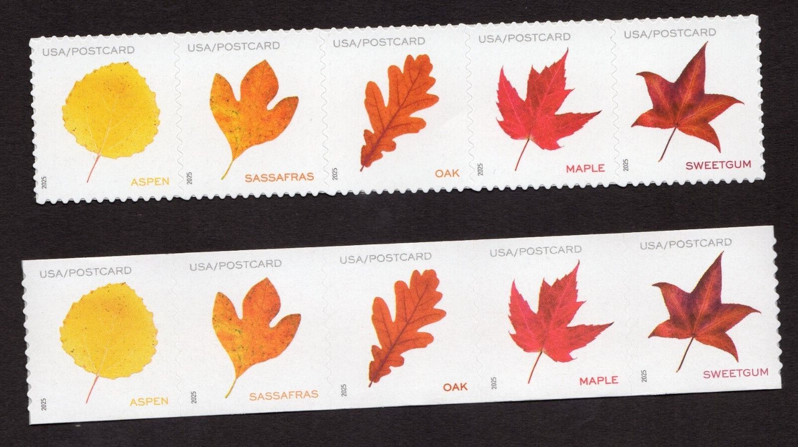 Scott #5970a-5975a Vibrant Leaves Postcard Strip of 5 Sheet & Coil Stamps