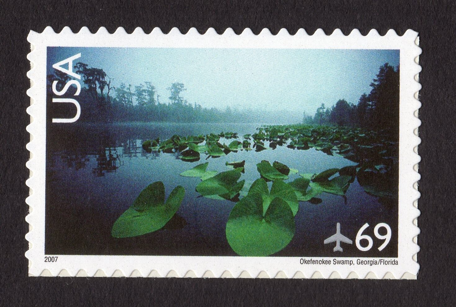 Scott #c142 Okefenokee Swamp Single Airmail Stamp - MNH A