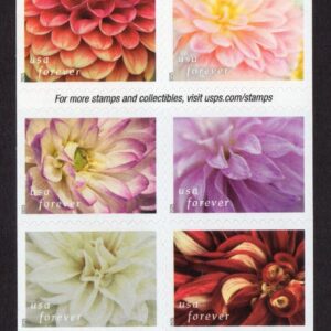 Scott #6001b (5992-01) Dahlias Booklet Pane of 10 Forever Stamps - MNH