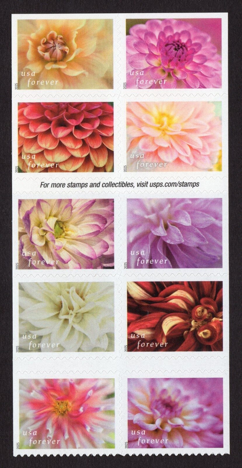 Scott #6001b (5992-01) Dahlias Booklet Pane of 10 Forever Stamps - MNH