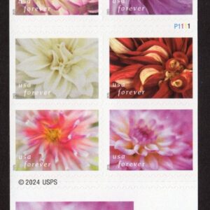 Scott #6001b (5992-01) Dahlias Booklet Pane of 8 Forever Stamps - MNH