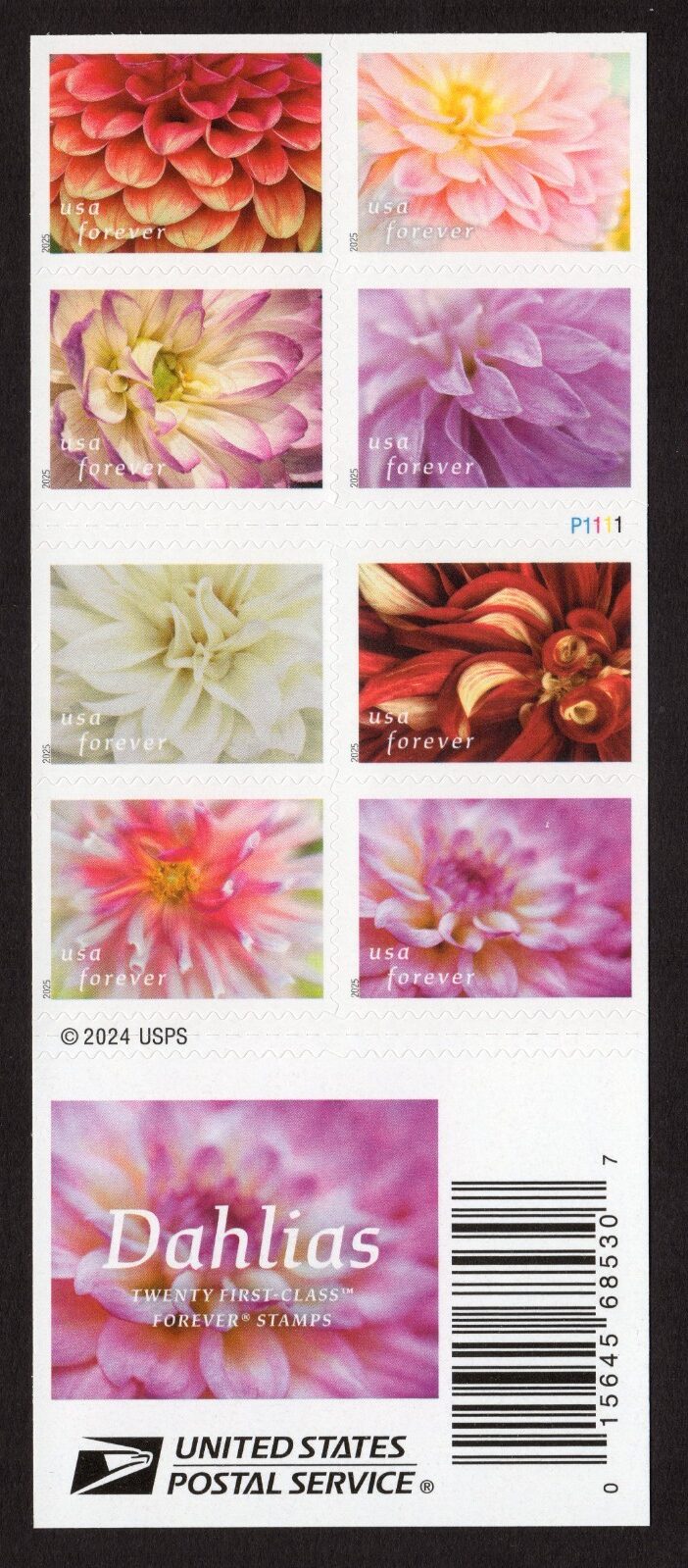 Scott #6001b (5992-01) Dahlias Booklet Pane of 8 Forever Stamps - MNH