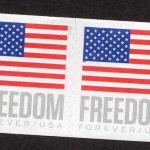 Scott #5788 Freedom Flag Coil Pair of Stamps - MNH APU