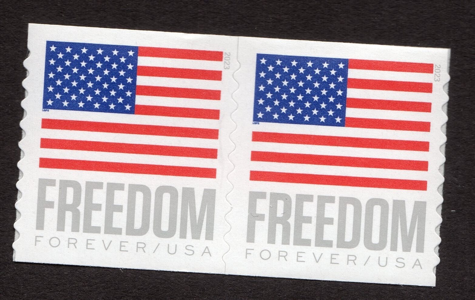 Scott #5788 Freedom Flag Coil Pair of Stamps - MNH APU