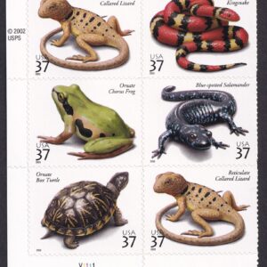 Scott #3818a (3514-3518) Reptiles & Amphibians Plate Block of 6 Stamps - MNH LL
