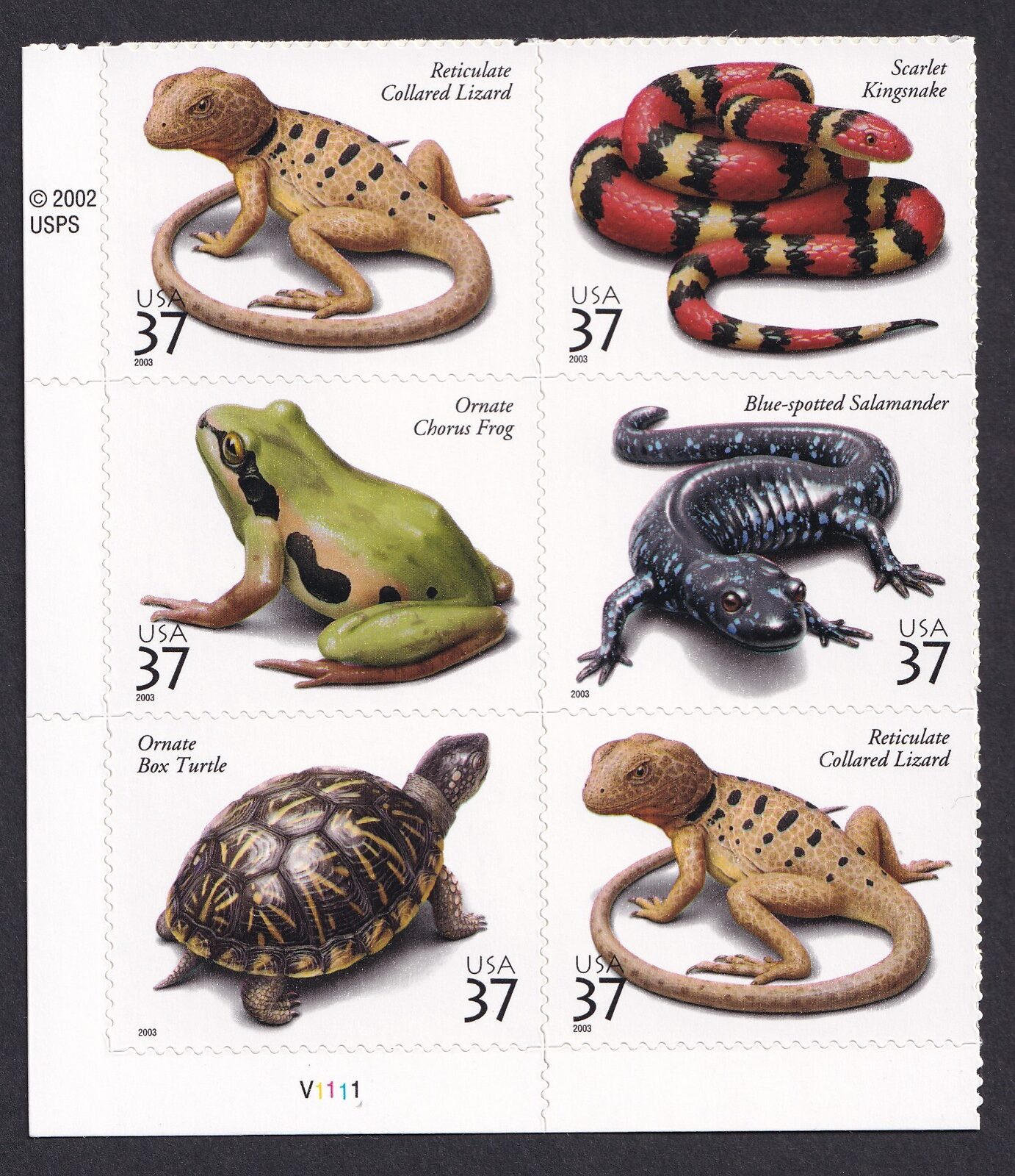 Scott #3818a (3514-3518) Reptiles & Amphibians Plate Block of 6 Stamps - MNH LL