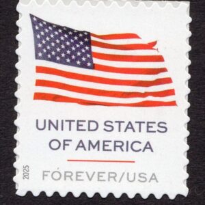Scott #6016 Flag Single Forever Stamp - MNH