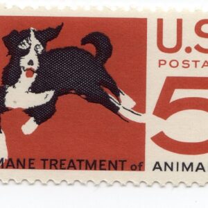 Scott #1307 Humane Treatment of Animals (Mongrel) Single Stamp - MNH