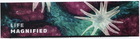 Scott #5802 Life Magnified Title Block - No Stamps