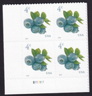 Scott #5652 Blueberries Plate Block of 4 Stamps - MNH