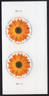 Scott #5680 Global Forever African Daisy Plate # Pair of Stamp - MNH UV Verified