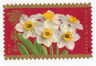 Scott #4435 Lunar New Year (Tiger) Single Stamp - MNH