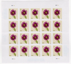 USPS Flowers Fringed Tulip Sheet of 20 Stamps - MNH In stock (5897)