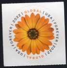 Scott #5680 Global Forever African Daisy Single Forever Stamp - MNH UV Verified